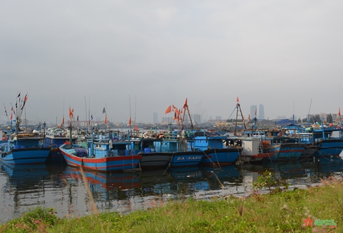 Bộ đội Biên phòng thành phố Đà Nẵng triển khai ứng phó với bão số 9